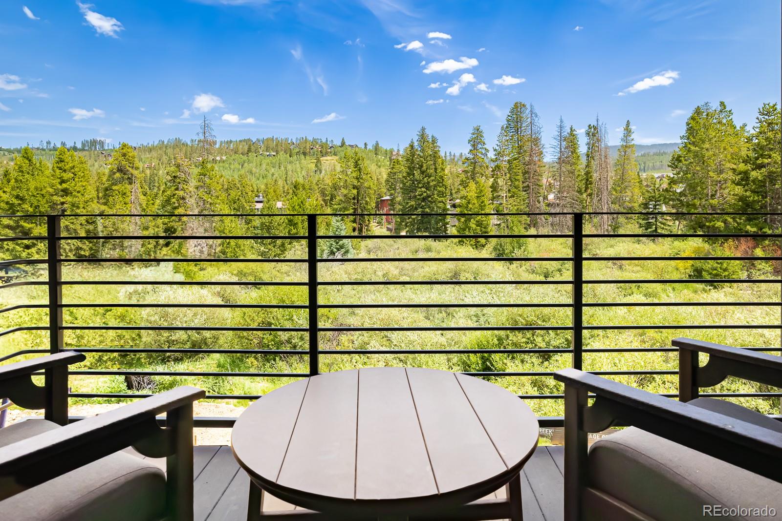 MLS Image #0 for 720  baker drive,winter park, Colorado