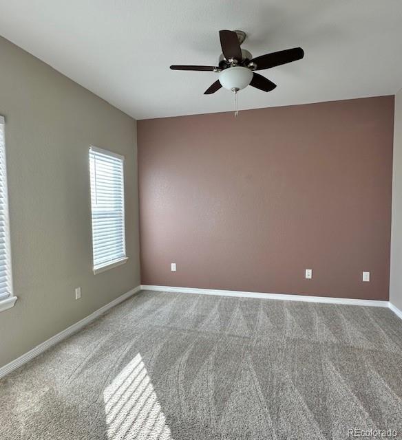 MLS Image #19 for 9011  sandpiper drive,longmont, Colorado