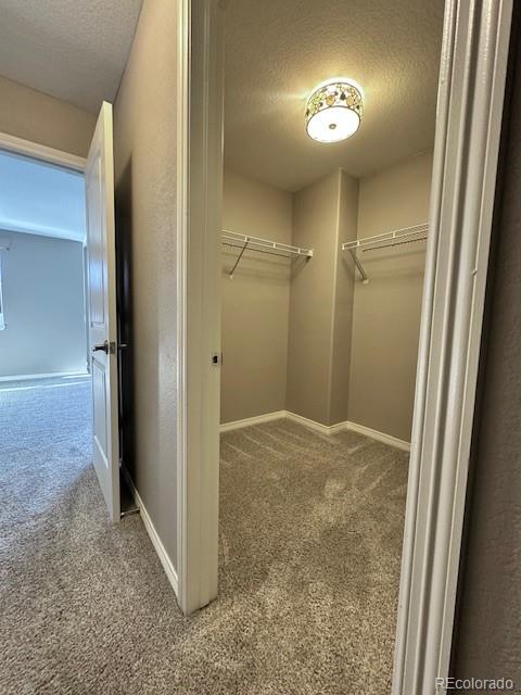 MLS Image #27 for 9011  sandpiper drive,longmont, Colorado