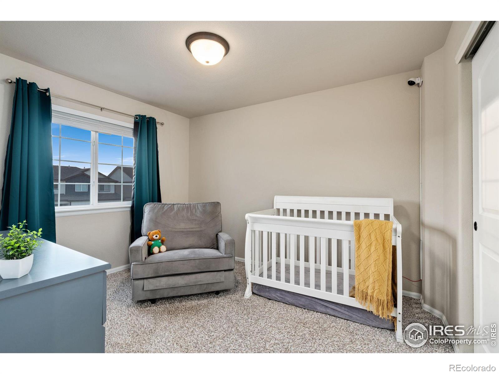 MLS Image #25 for 2055  blue moon court,windsor, Colorado