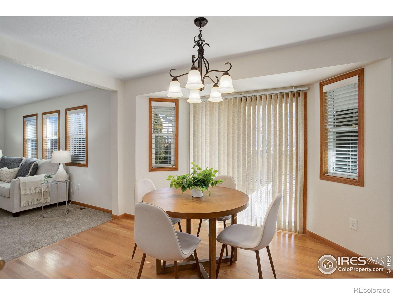 MLS Image #14 for 3658  loveland avenue,loveland, Colorado