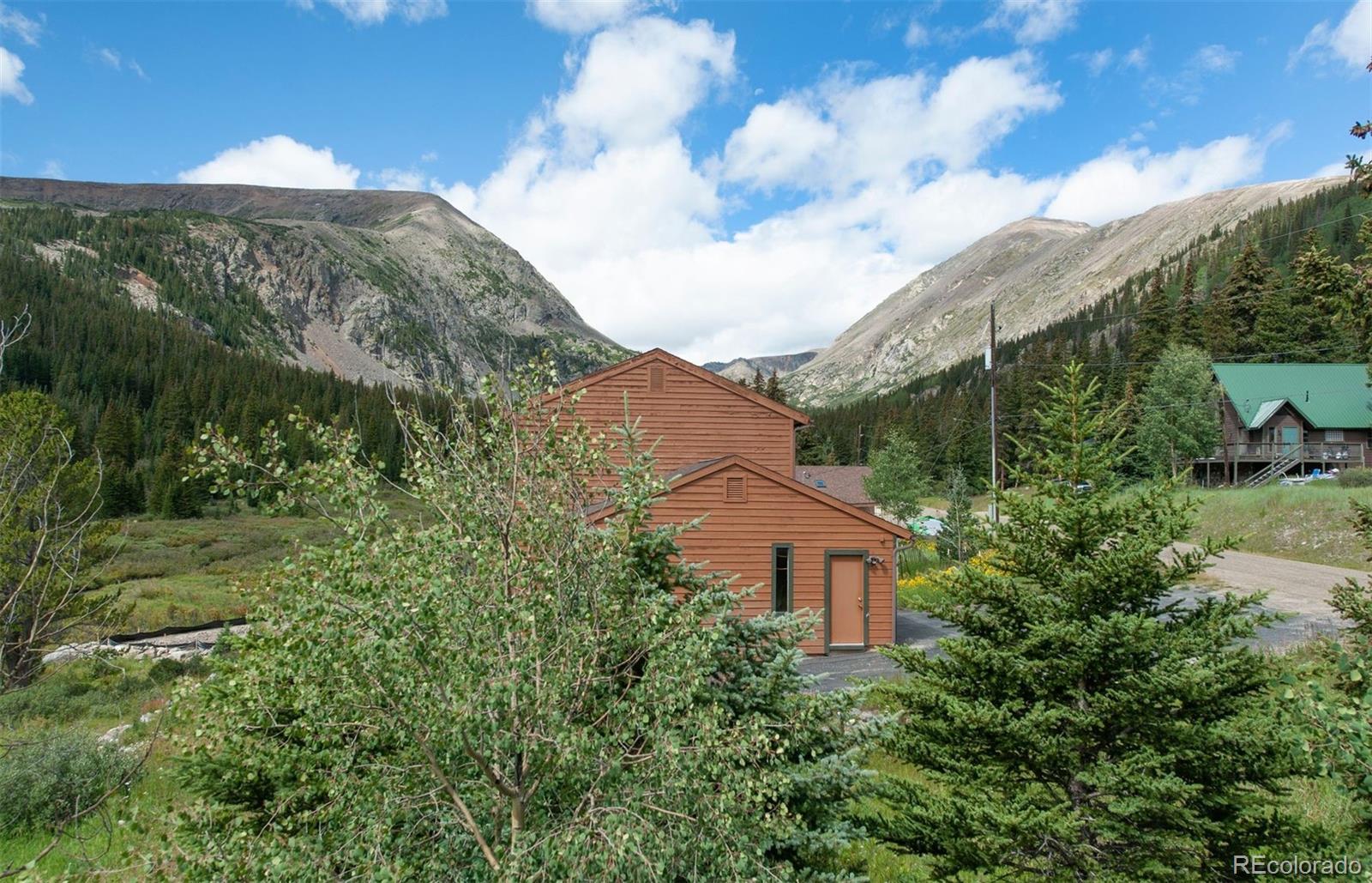 MLS Image #22 for 46  mcdill road,breckenridge, Colorado