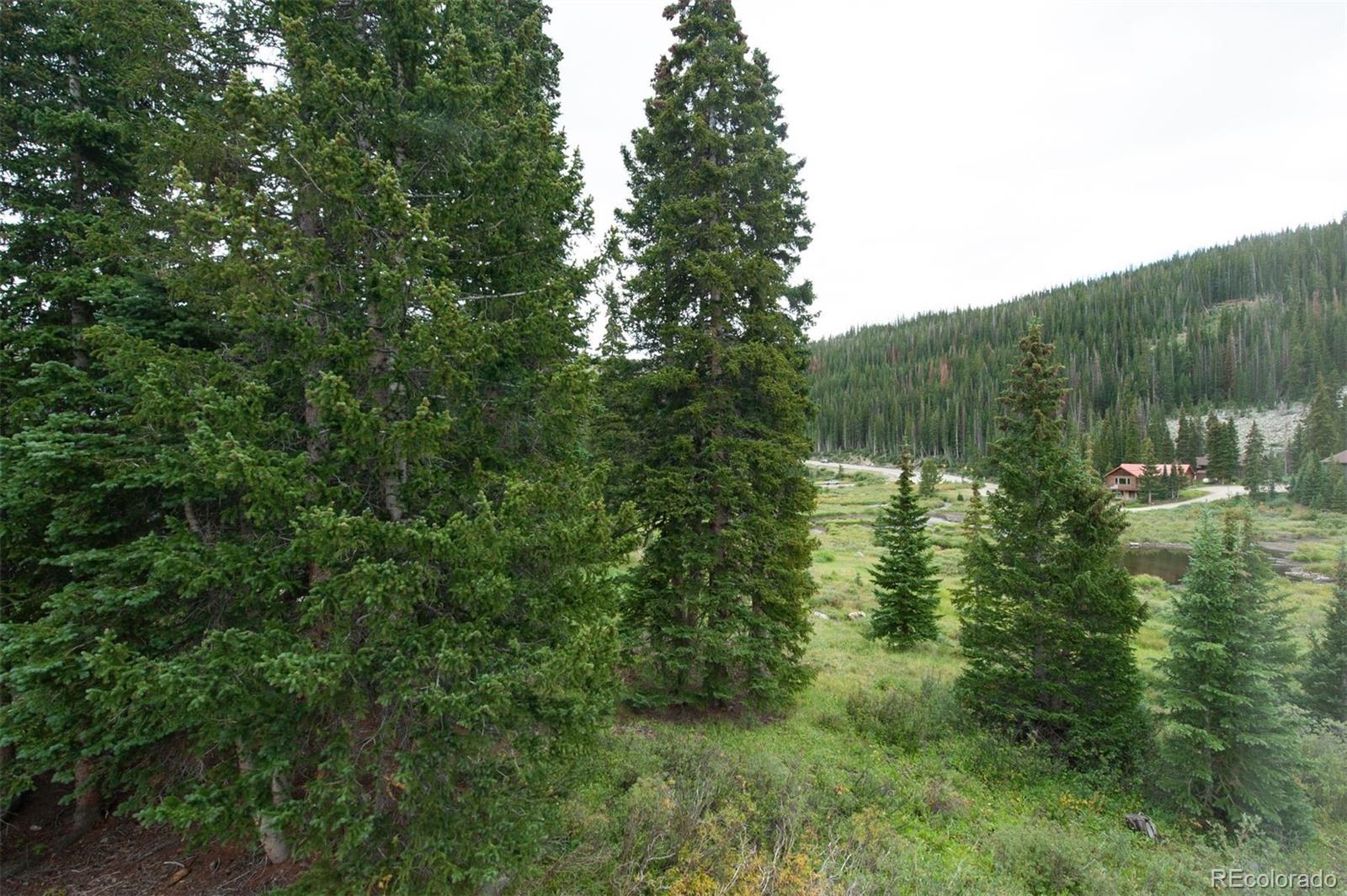 MLS Image #23 for 46  mcdill road,breckenridge, Colorado