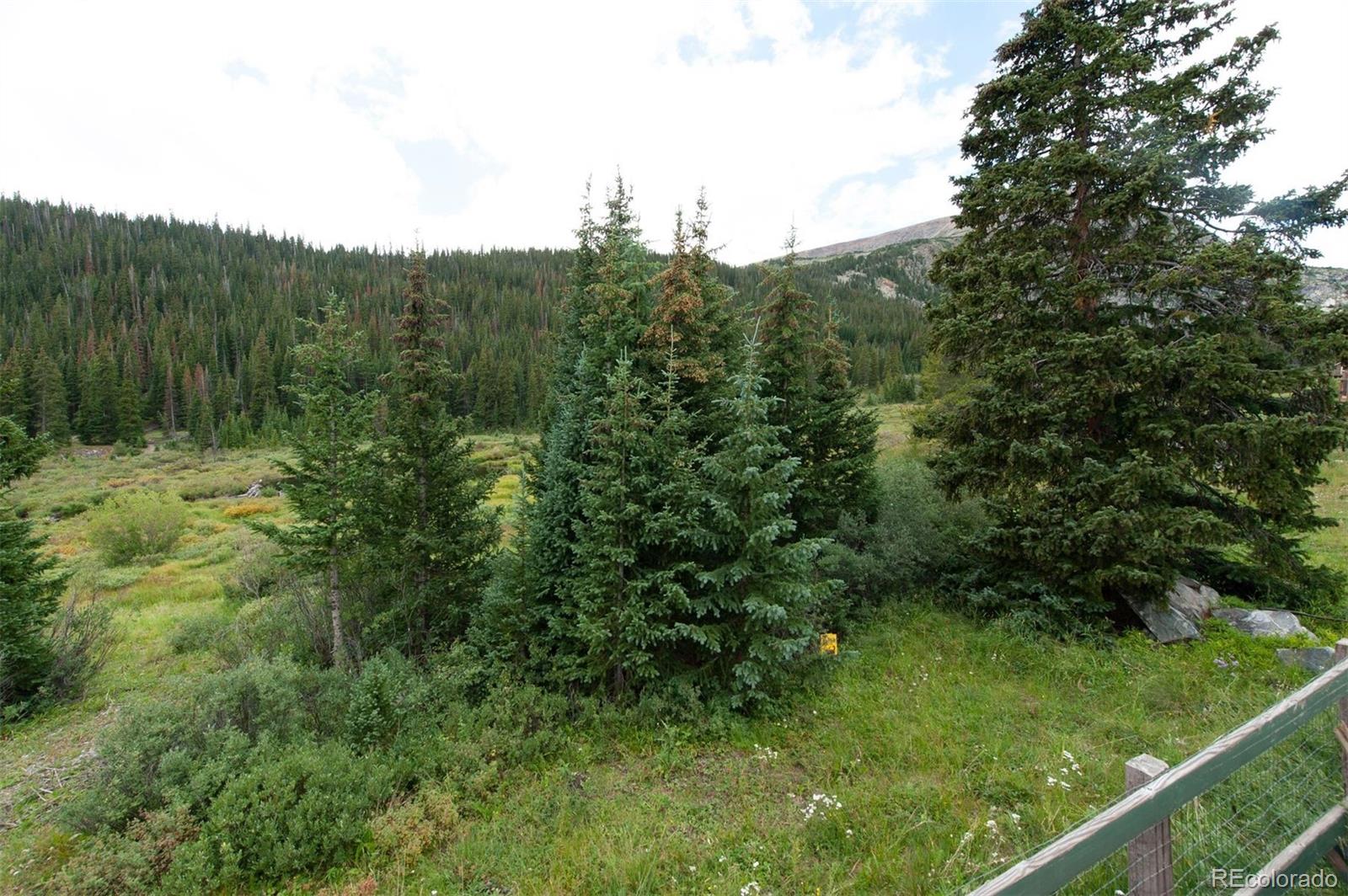 MLS Image #24 for 46  mcdill road,breckenridge, Colorado