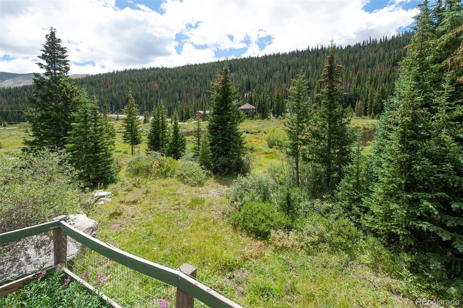 MLS Image #25 for 46  mcdill road,breckenridge, Colorado