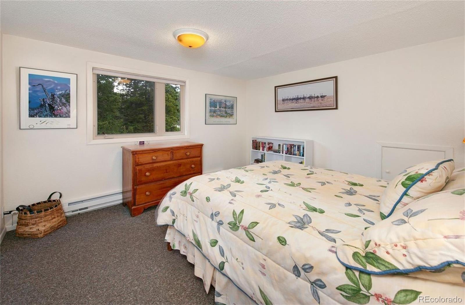 MLS Image #30 for 46  mcdill road,breckenridge, Colorado