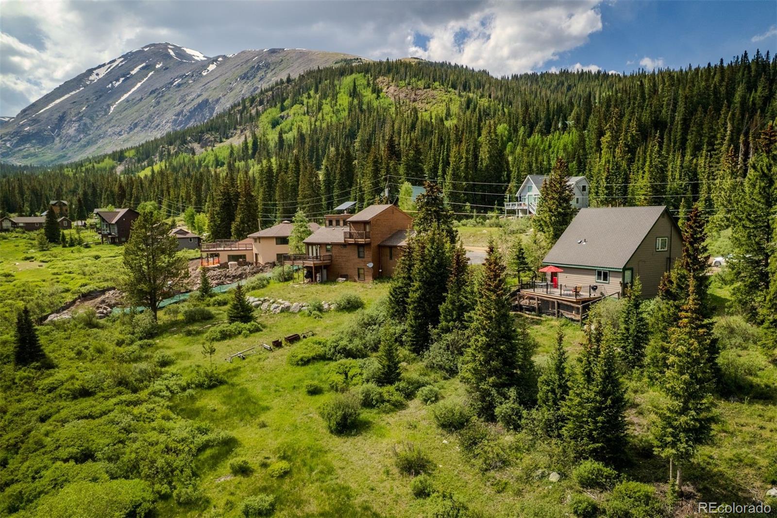 MLS Image #35 for 46  mcdill road,breckenridge, Colorado