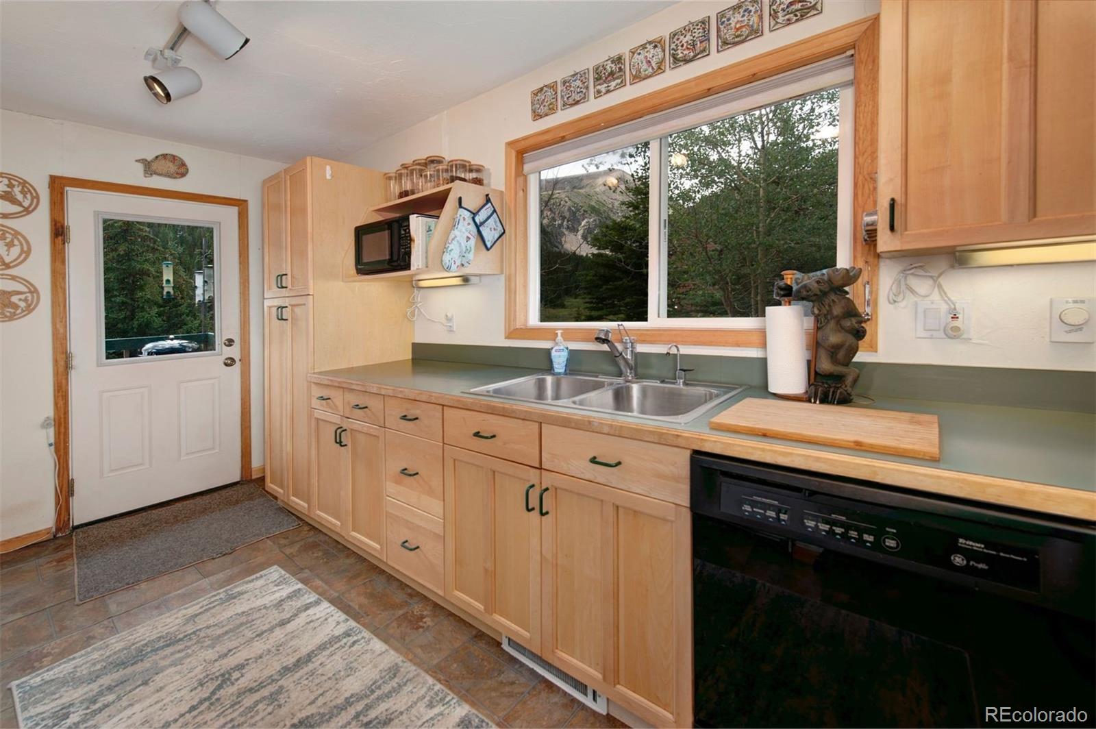 MLS Image #8 for 46  mcdill road,breckenridge, Colorado