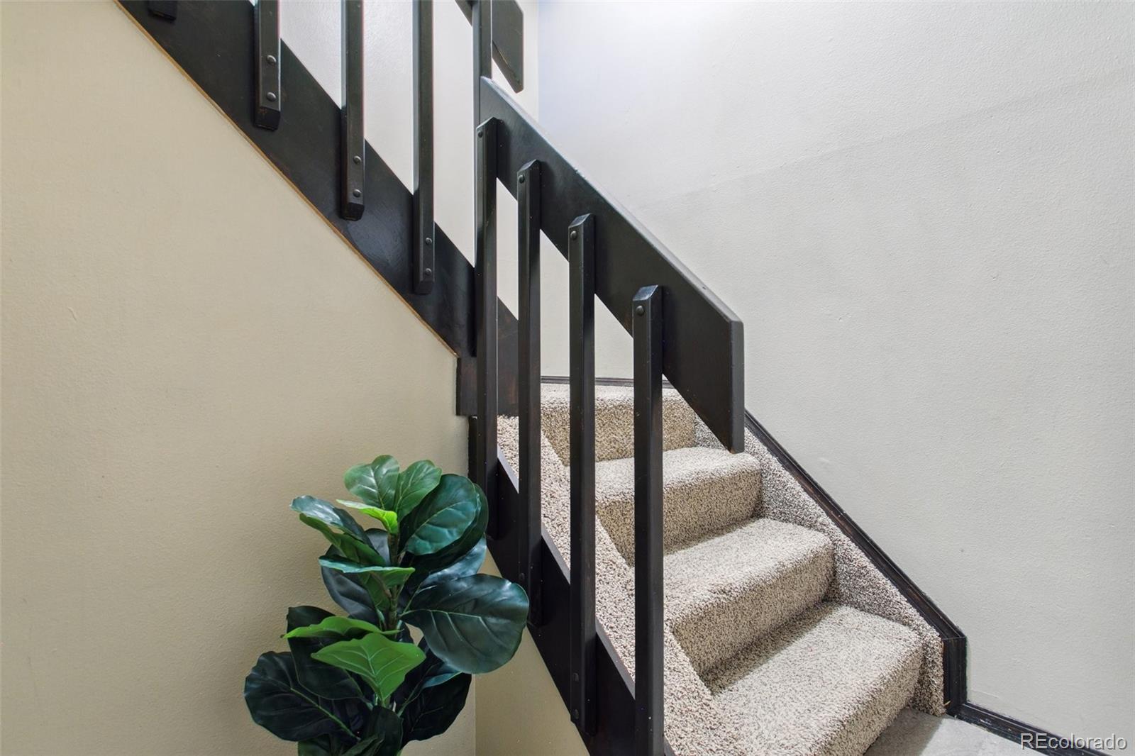 MLS Image #21 for 2135  troy court,colorado springs, Colorado