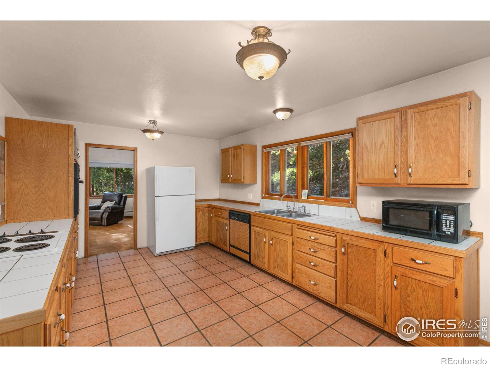 MLS Image #10 for 11957  brook road,golden, Colorado