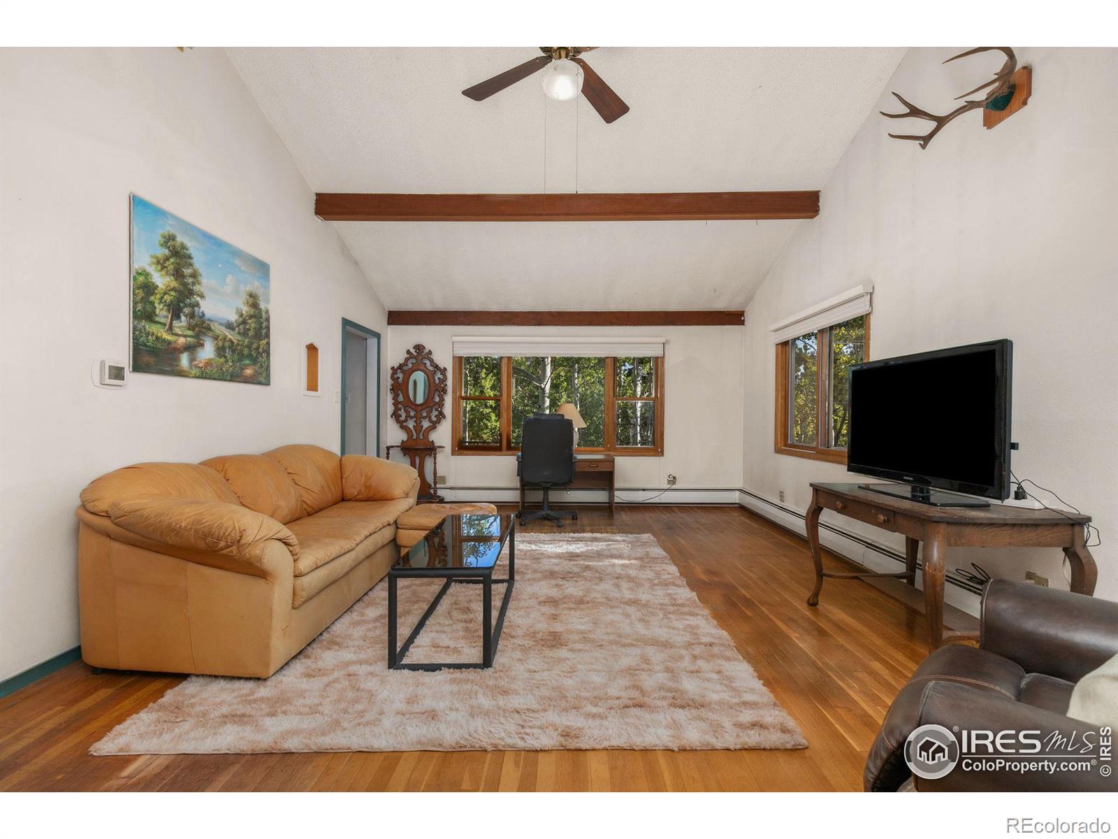 MLS Image #7 for 11957  brook road,golden, Colorado