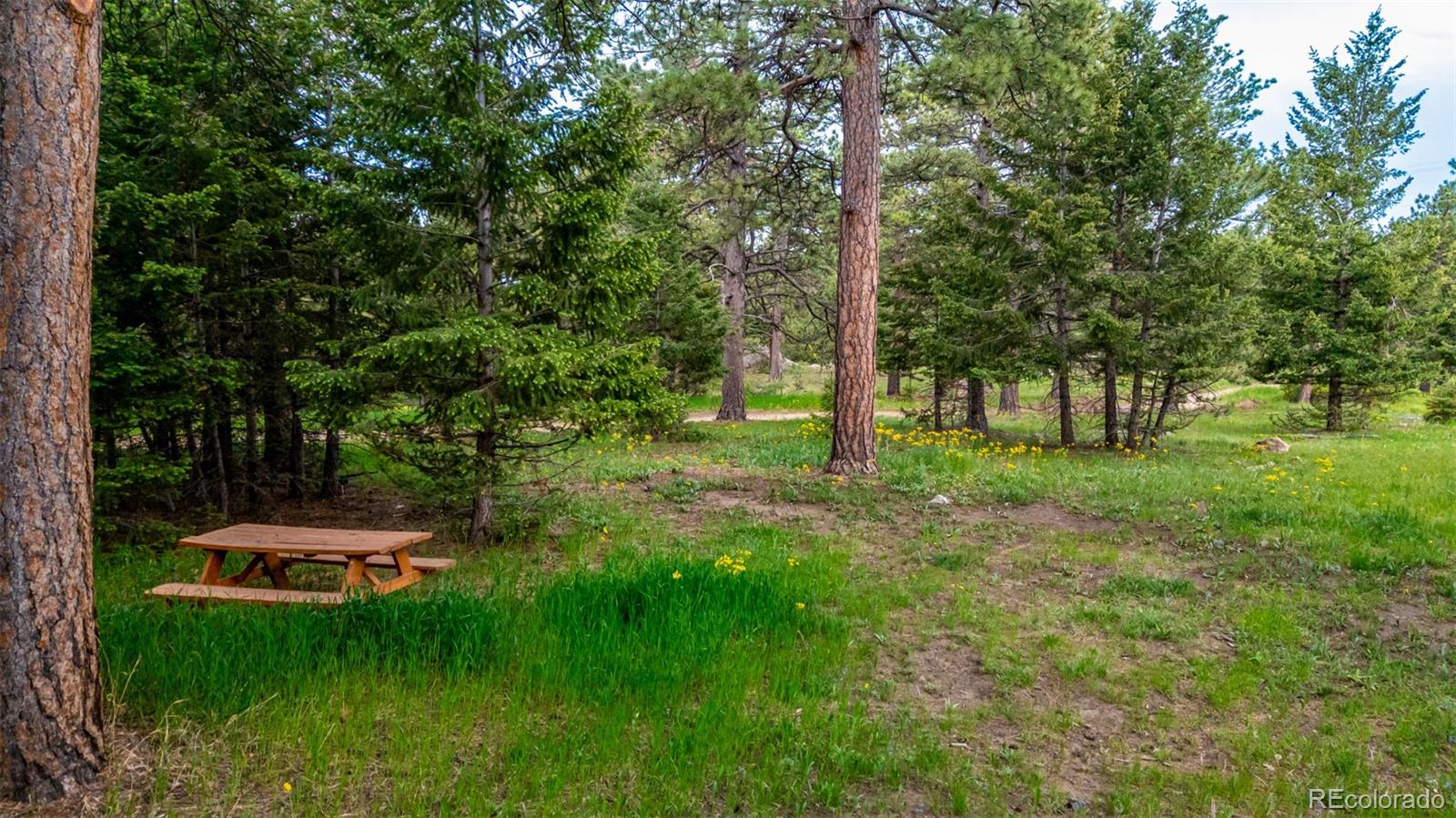 MLS Image #46 for 8537 s doubleheader highway,morrison, Colorado