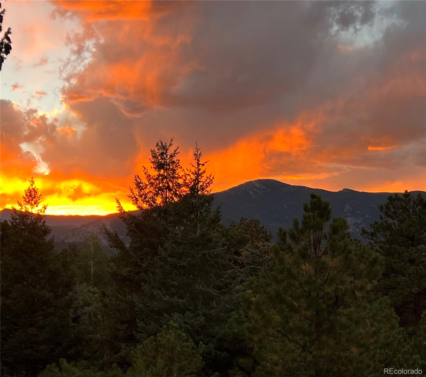 MLS Image #25 for 29304  thimbleberry lane,evergreen, Colorado