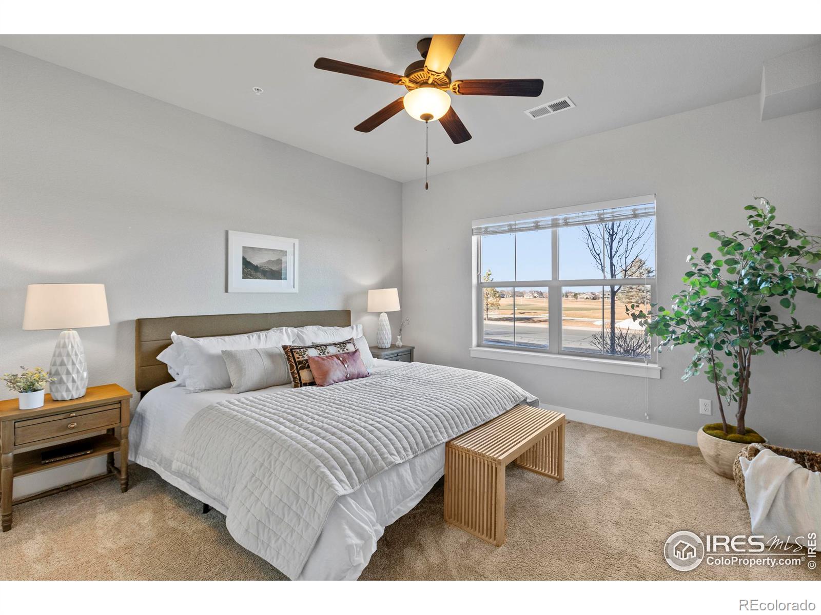 MLS Image #15 for 6634  crystal downs drive,windsor, Colorado