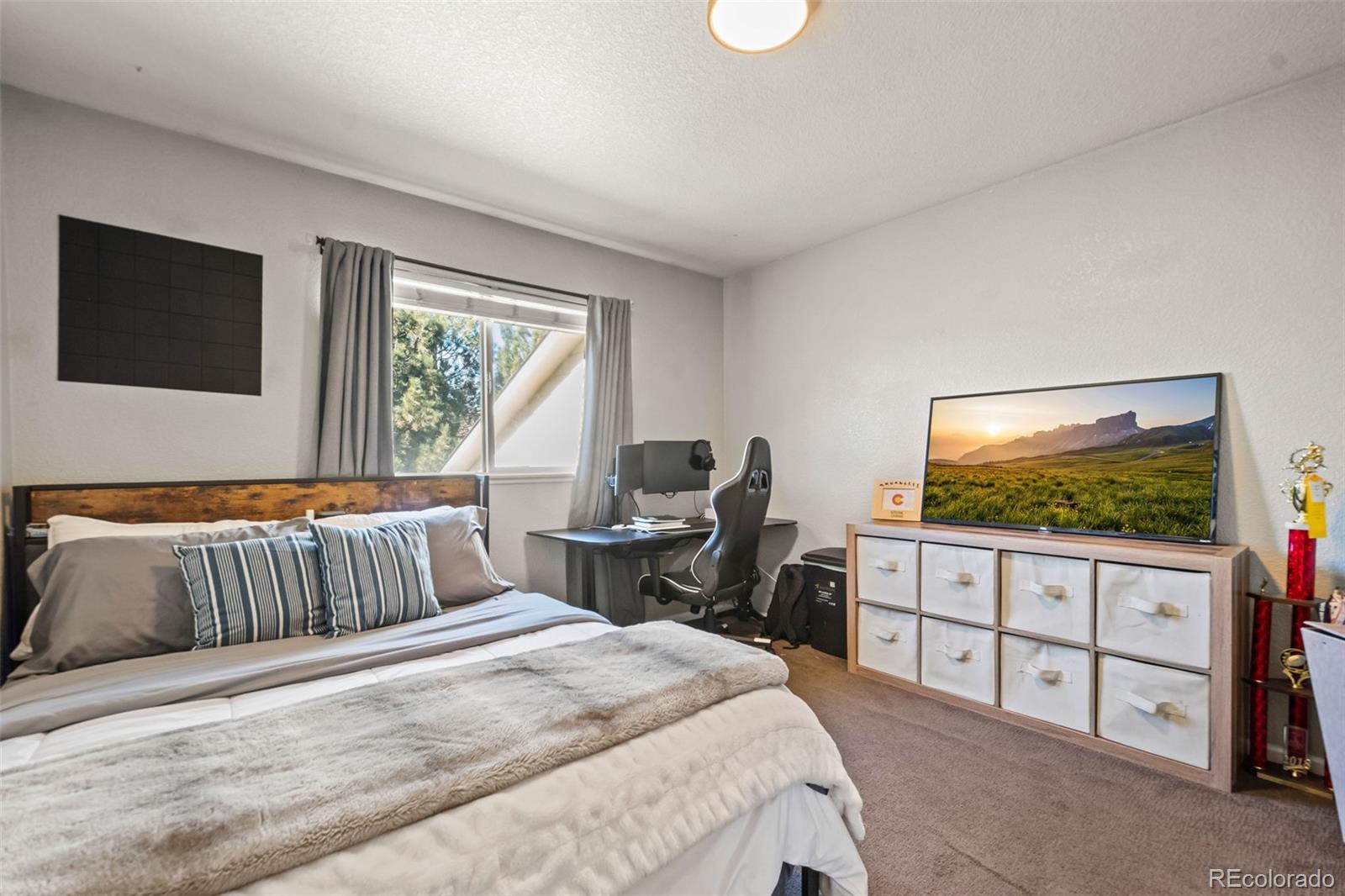 MLS Image #18 for 4019  avenida del sol drive,loveland, Colorado