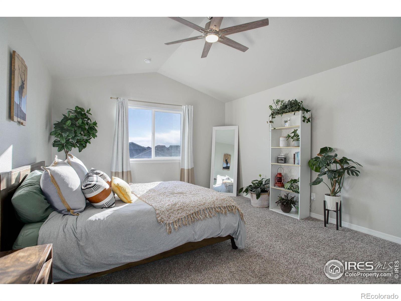 MLS Image #17 for 894  emerald lakes street,severance, Colorado