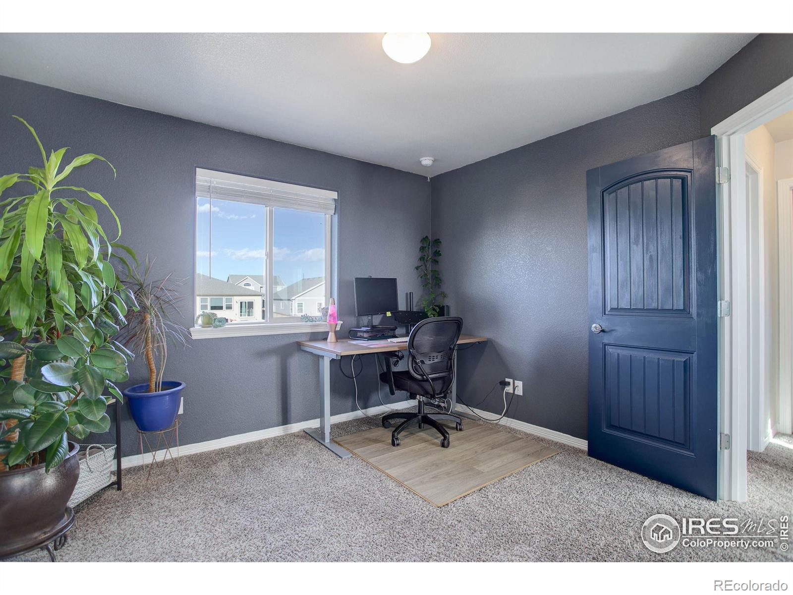 MLS Image #23 for 894  emerald lakes street,severance, Colorado