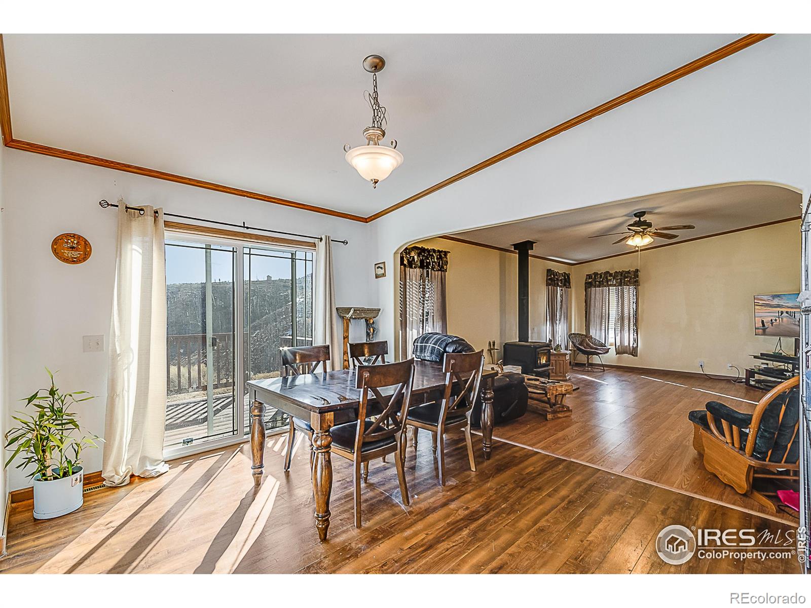 MLS Image #11 for 38  carson peak court,livermore, Colorado