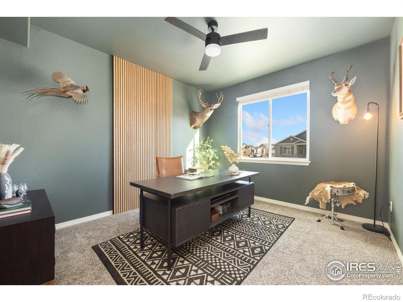 MLS Image #14 for 2483  tabor street,berthoud, Colorado