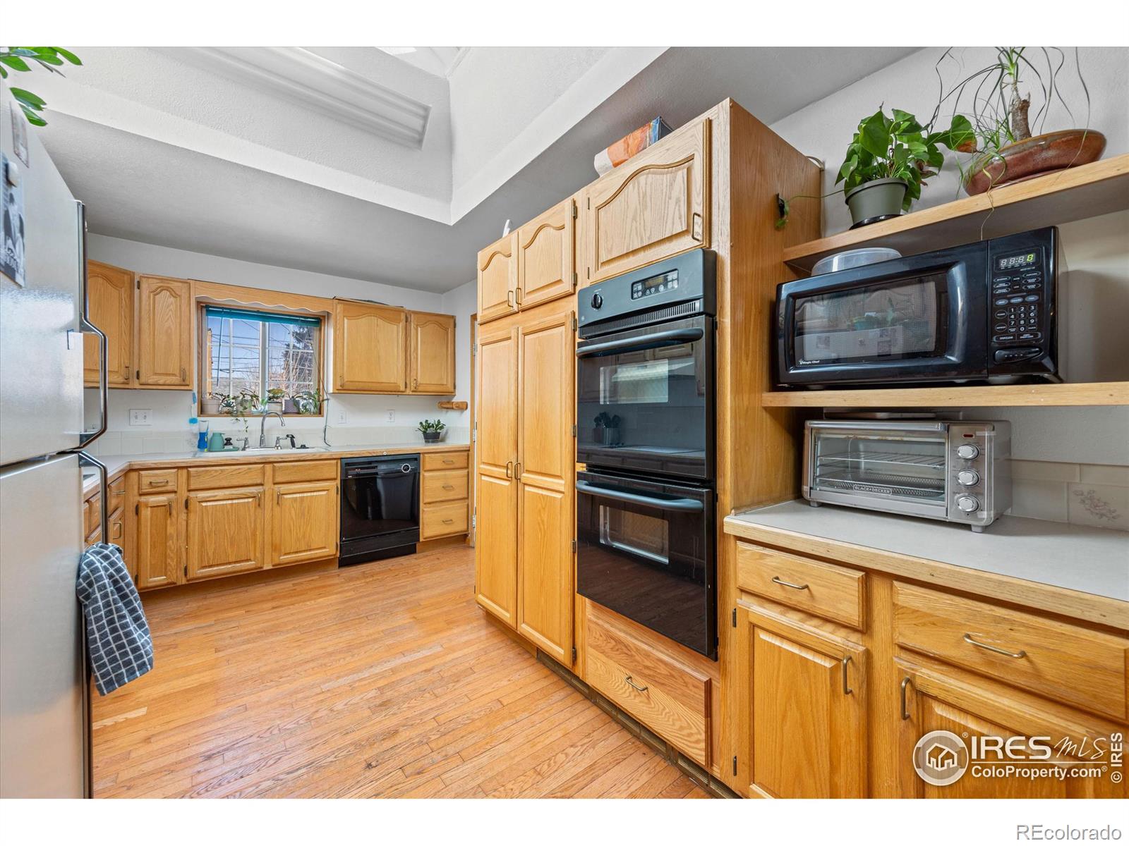 MLS Image #9 for 233  maple avenue,eaton, Colorado