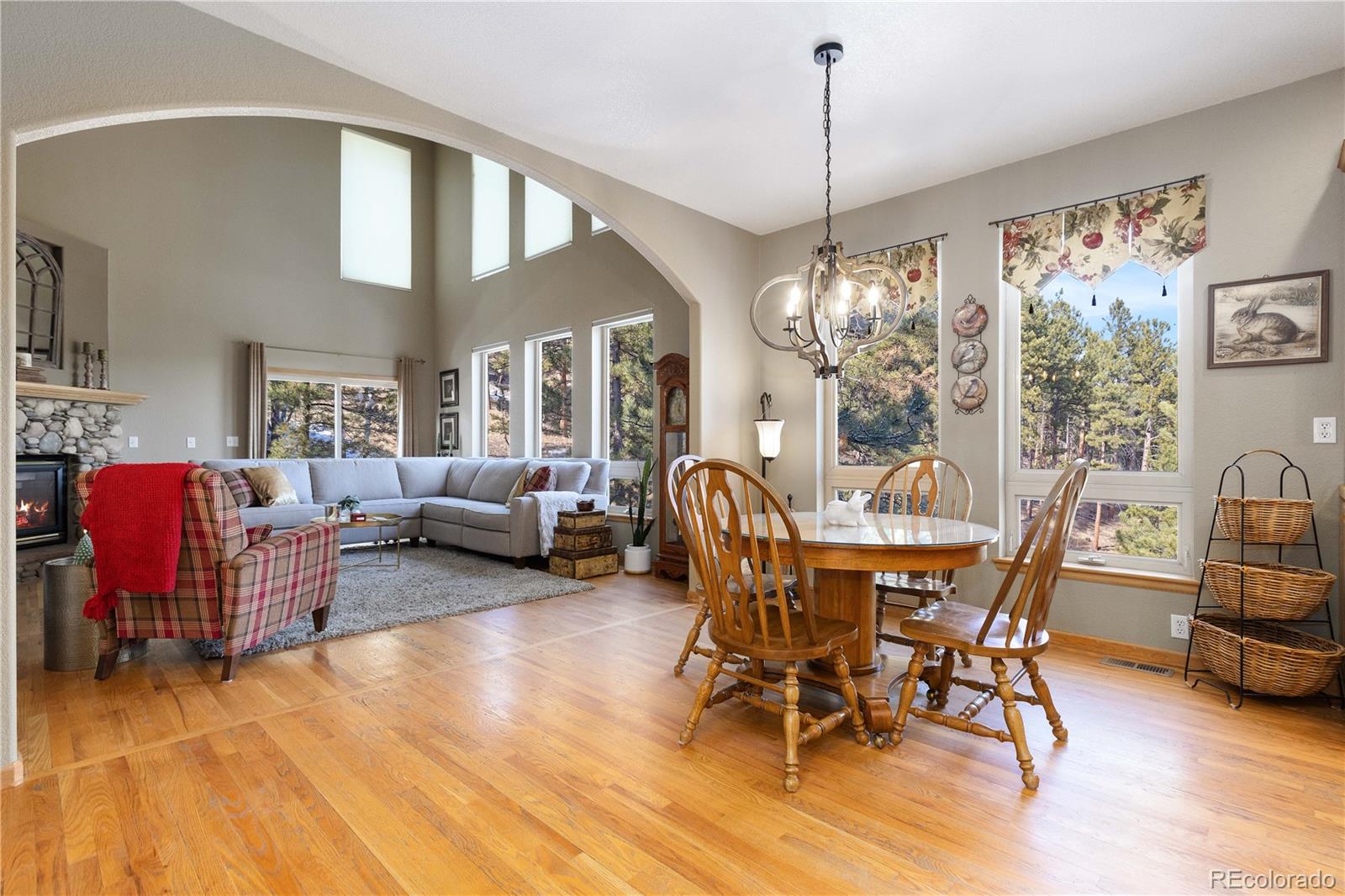 MLS Image #14 for 26345  sweetbriar trail,evergreen, Colorado