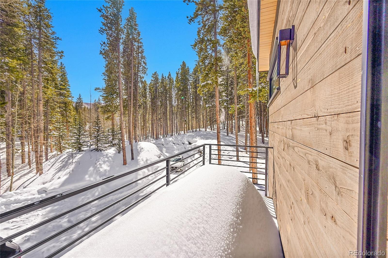 MLS Image #29 for 55  blue flag drive,breckenridge, Colorado
