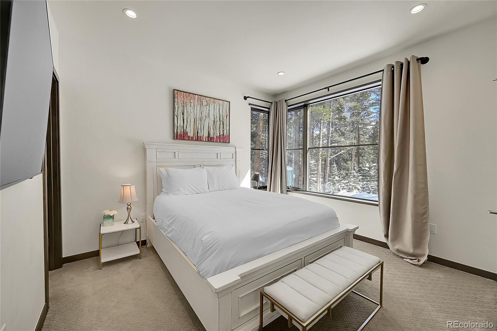 MLS Image #33 for 55  blue flag drive,breckenridge, Colorado