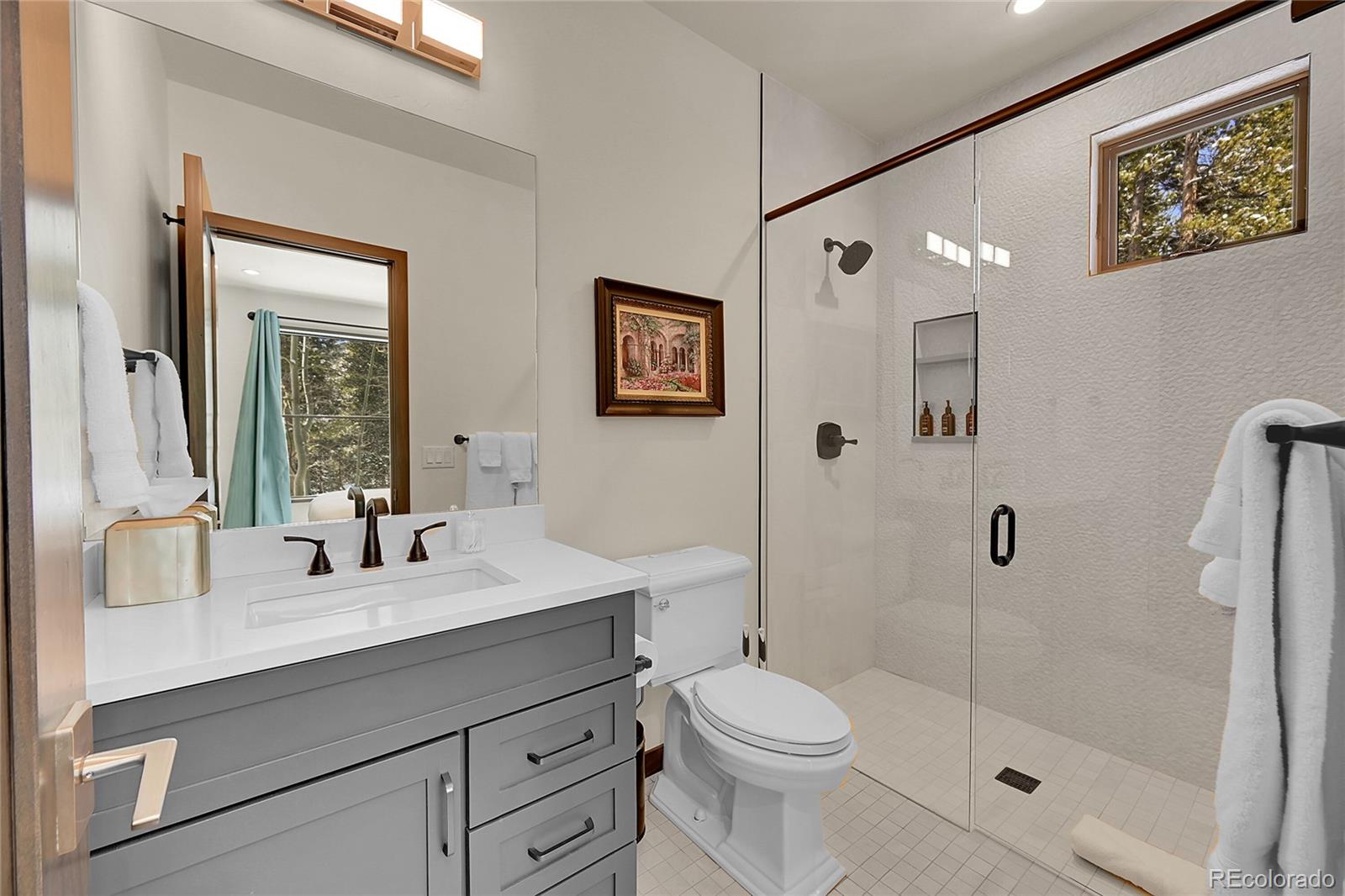 MLS Image #40 for 55  blue flag drive,breckenridge, Colorado
