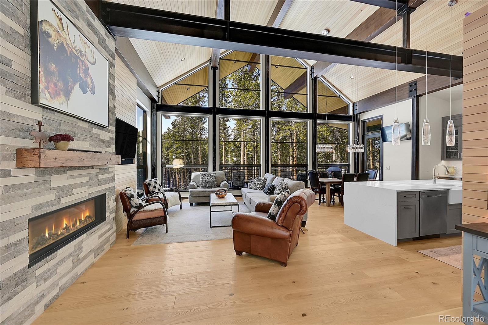 MLS Image #9 for 55  blue flag drive,breckenridge, Colorado