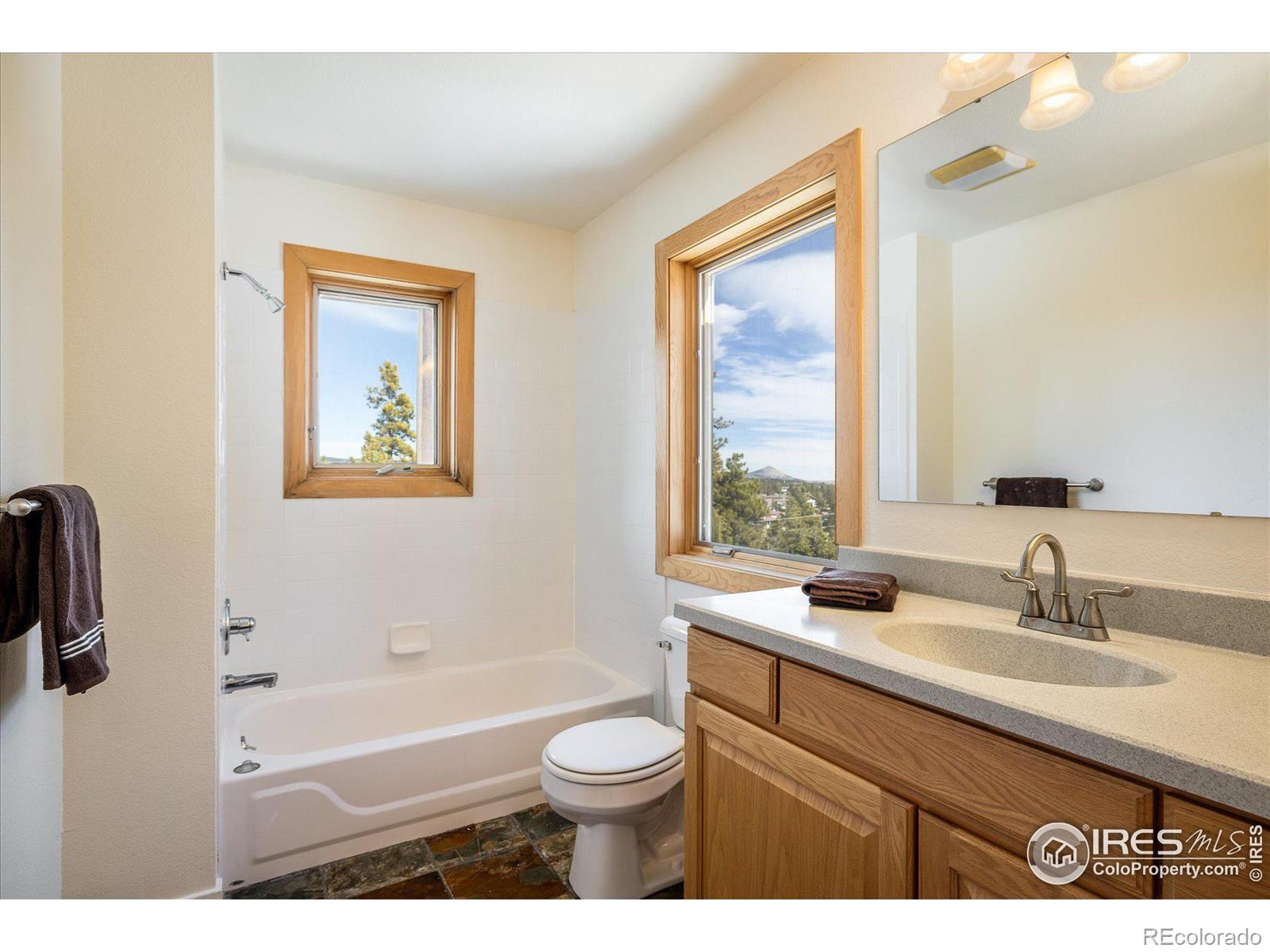 MLS Image #11 for 47  peakview road,nederland, Colorado