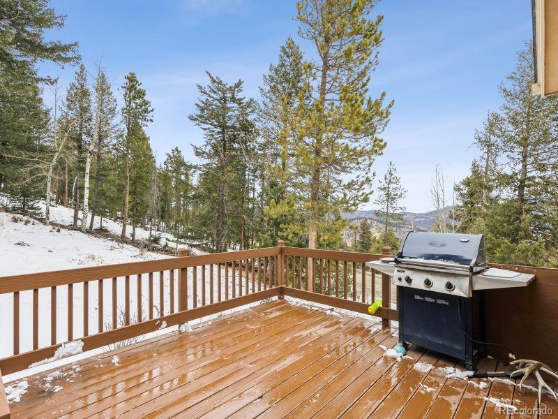 MLS Image #18 for 1580  santa fe mountain road,evergreen, Colorado