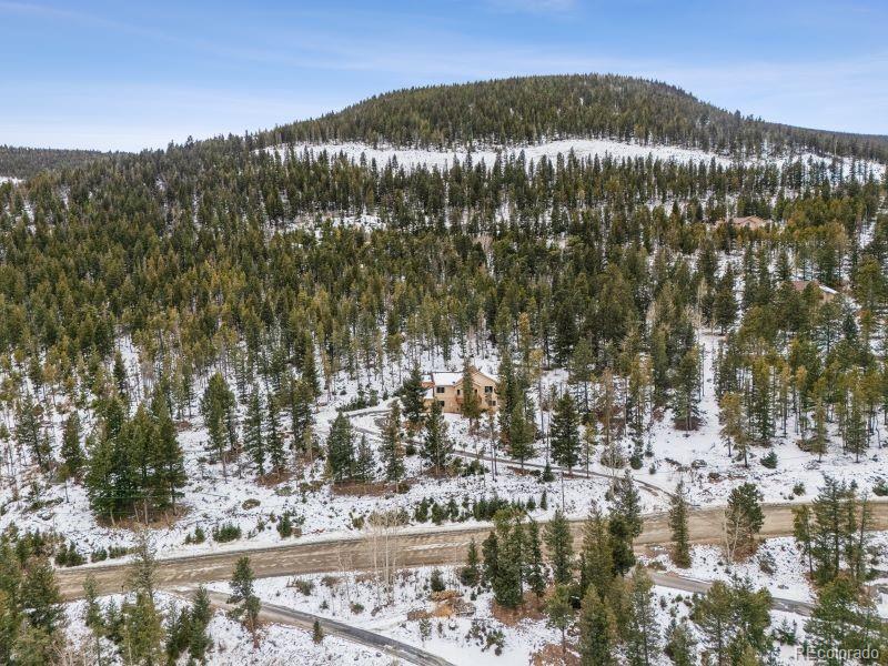 MLS Image #21 for 1580  santa fe mountain road,evergreen, Colorado