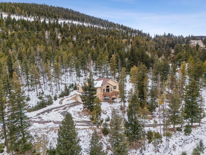 MLS Image #8 for 1580  santa fe mountain road,evergreen, Colorado