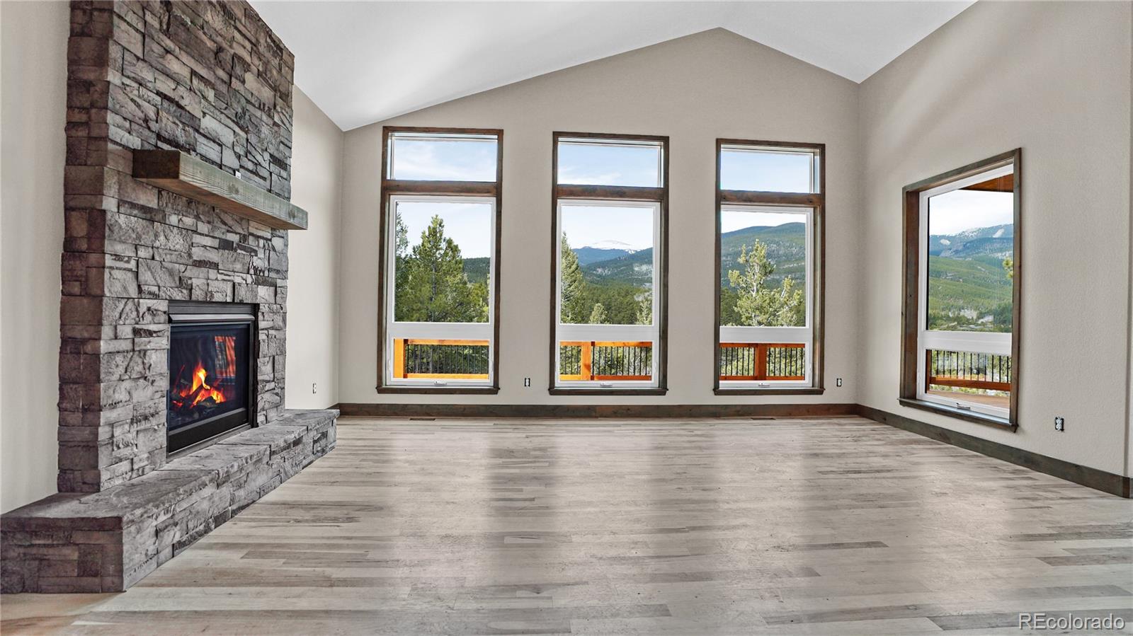 MLS Image #15 for 89  bristlecone circle,bailey, Colorado