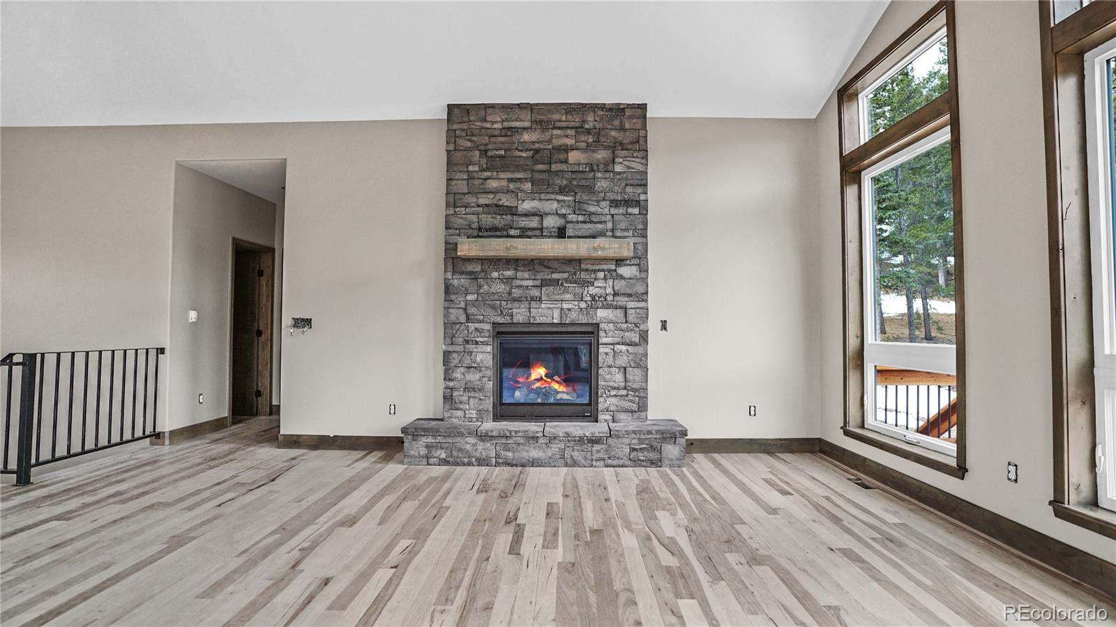 MLS Image #16 for 89  bristlecone circle,bailey, Colorado