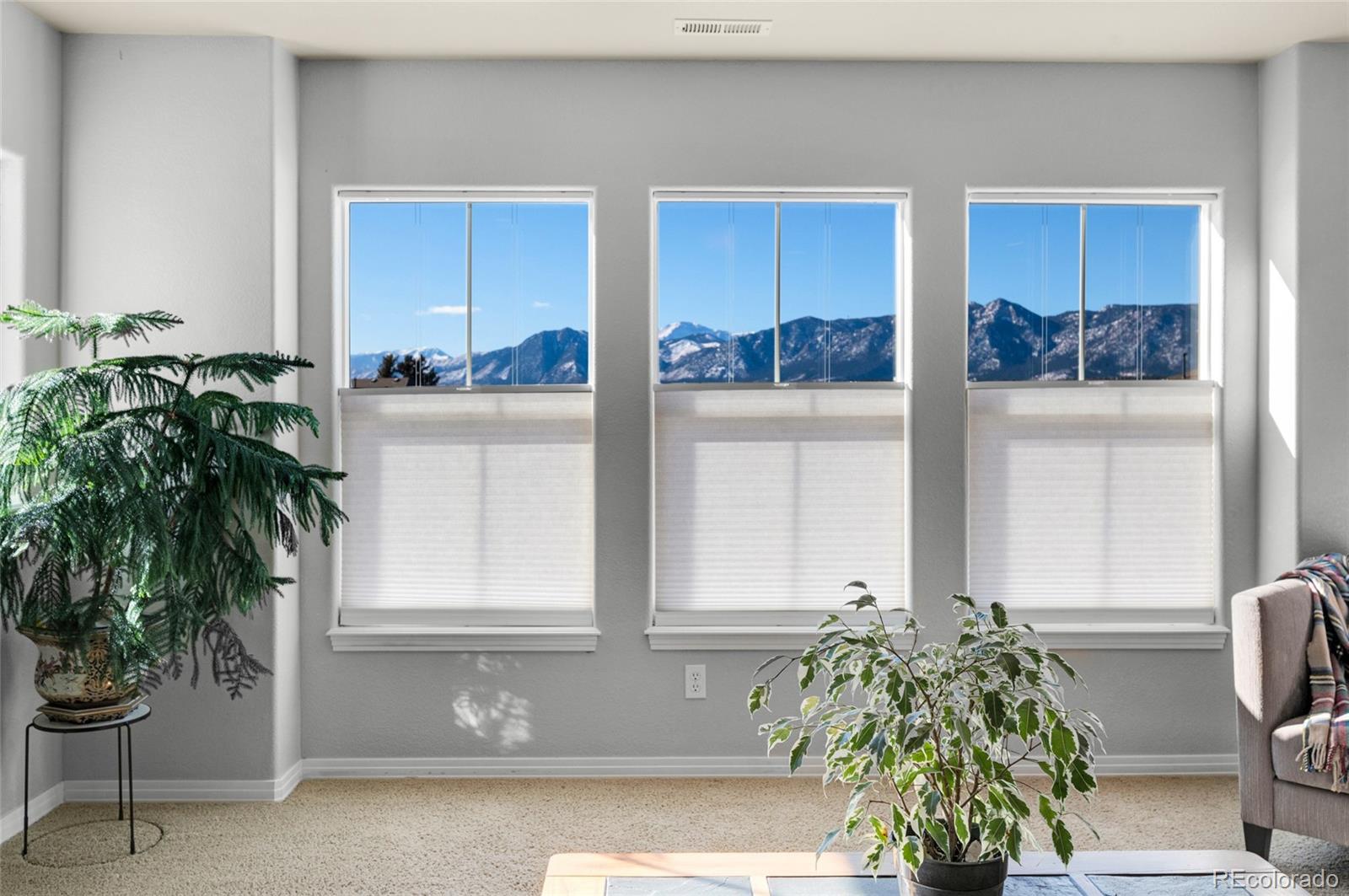 MLS Image #21 for 14702  air garden lane,colorado springs, Colorado