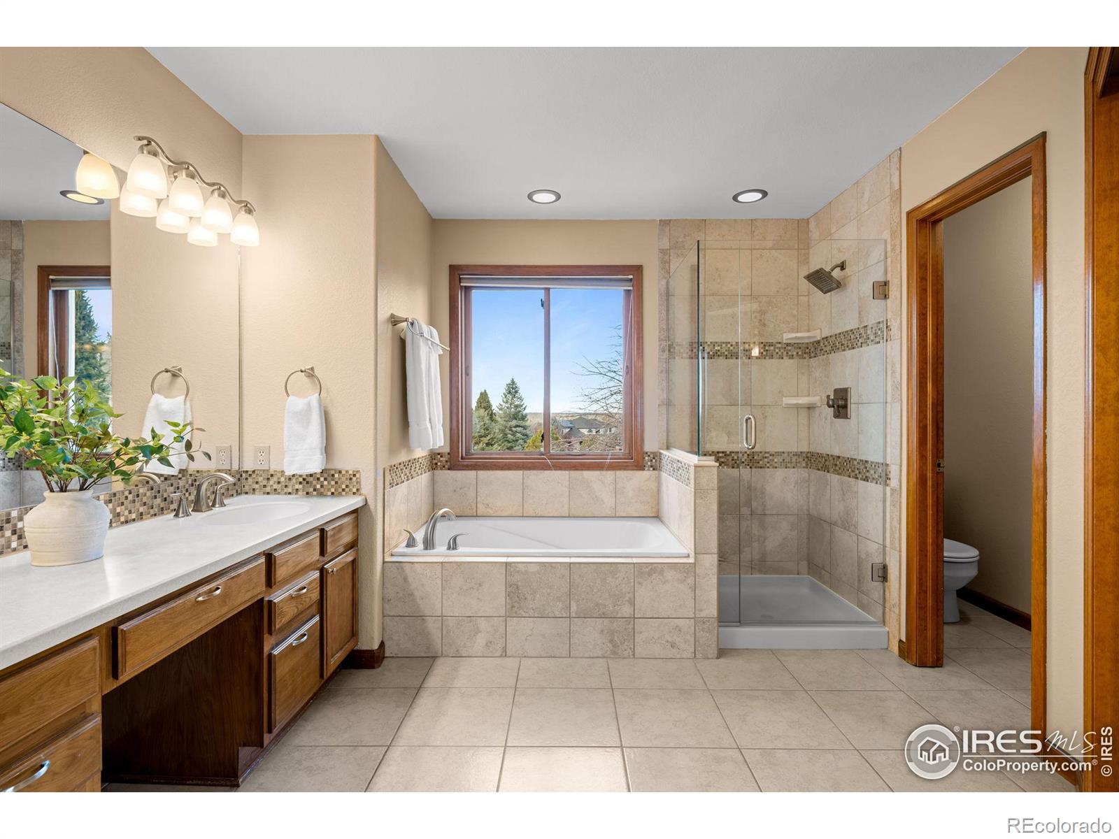 MLS Image #18 for 7202  snow peak court,niwot, Colorado