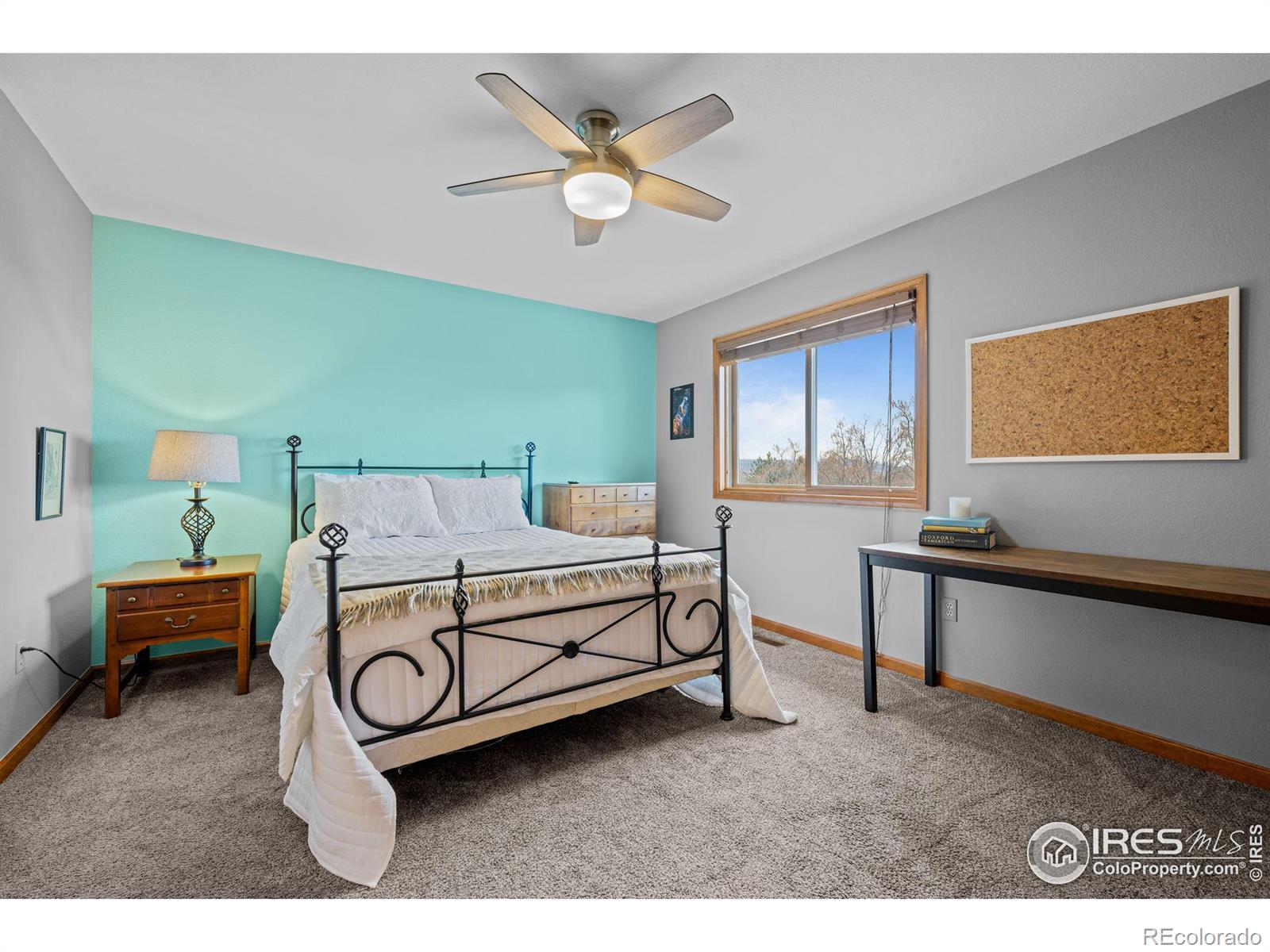 MLS Image #20 for 7202  snow peak court,niwot, Colorado