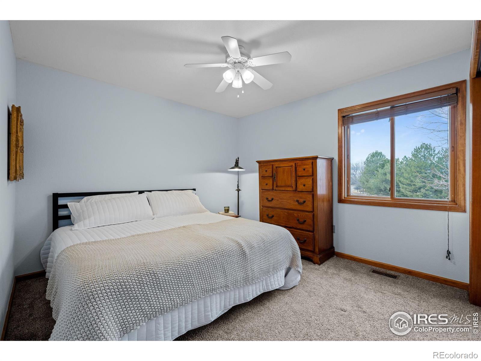 MLS Image #21 for 7202  snow peak court,niwot, Colorado