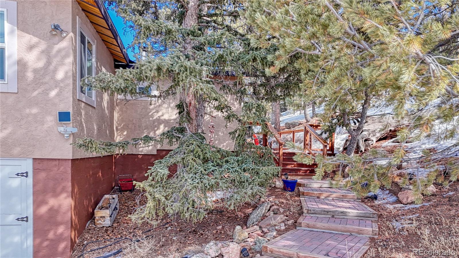 MLS Image #11 for 60  perch drive,lake george, Colorado