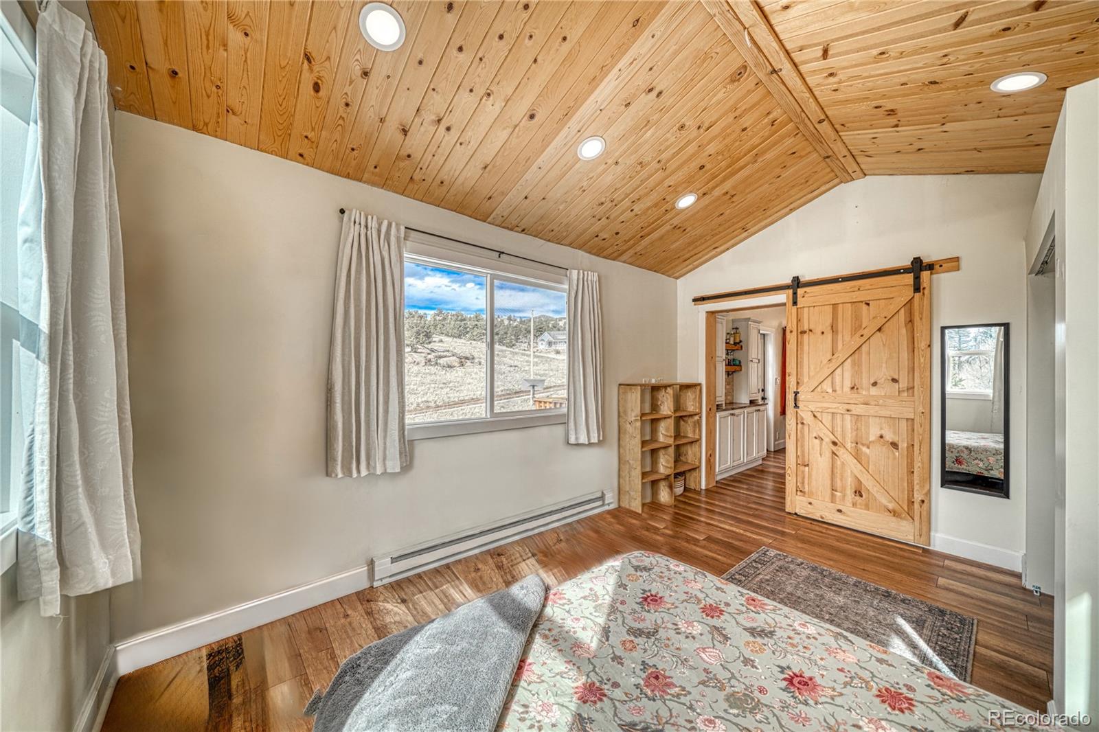 MLS Image #23 for 60  perch drive,lake george, Colorado