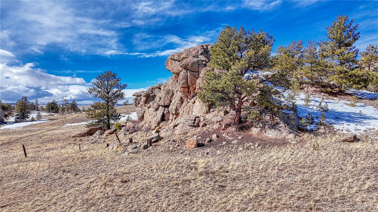 MLS Image #3 for 60  perch drive,lake george, Colorado