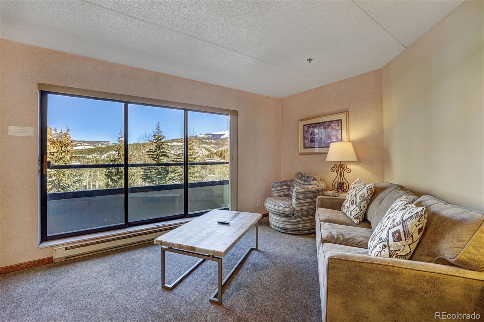 MLS Image #4 for 640  village road,breckenridge, Colorado