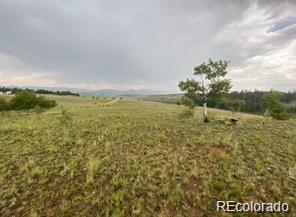 MLS Image #13 for 125  chamber lane,como, Colorado