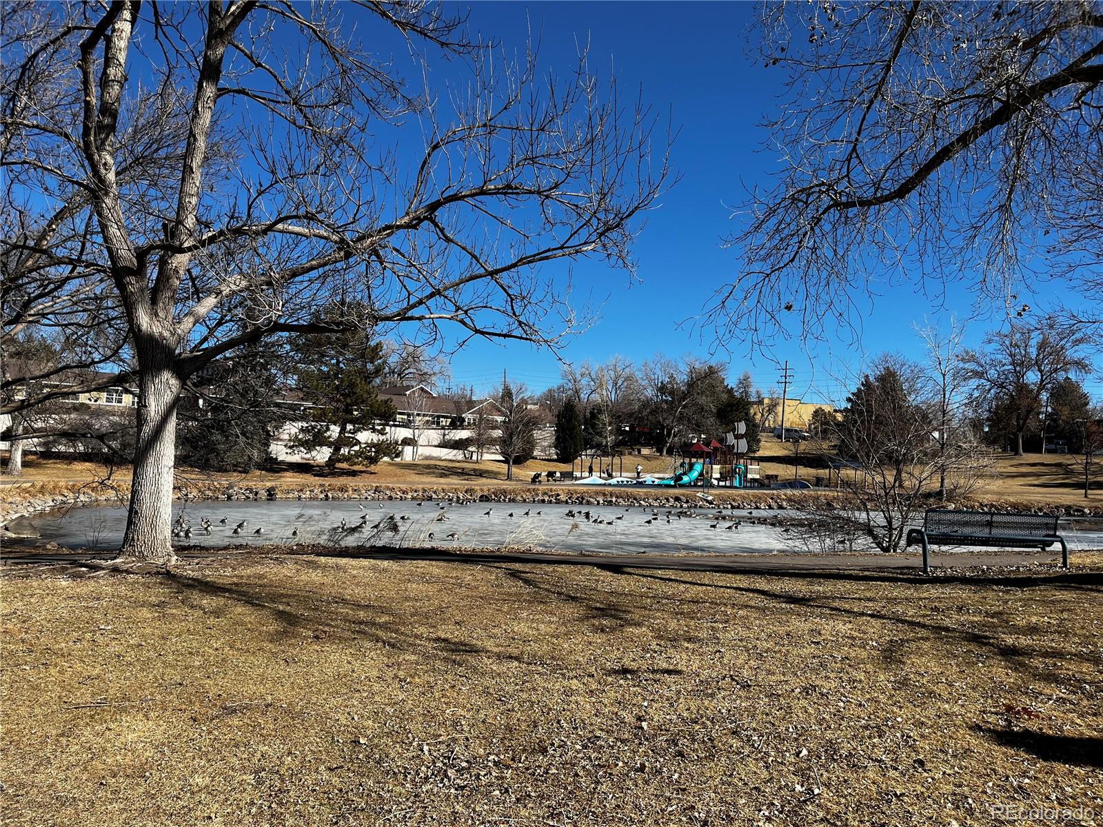 MLS Image #38 for 112 w sterne parkway,littleton, Colorado