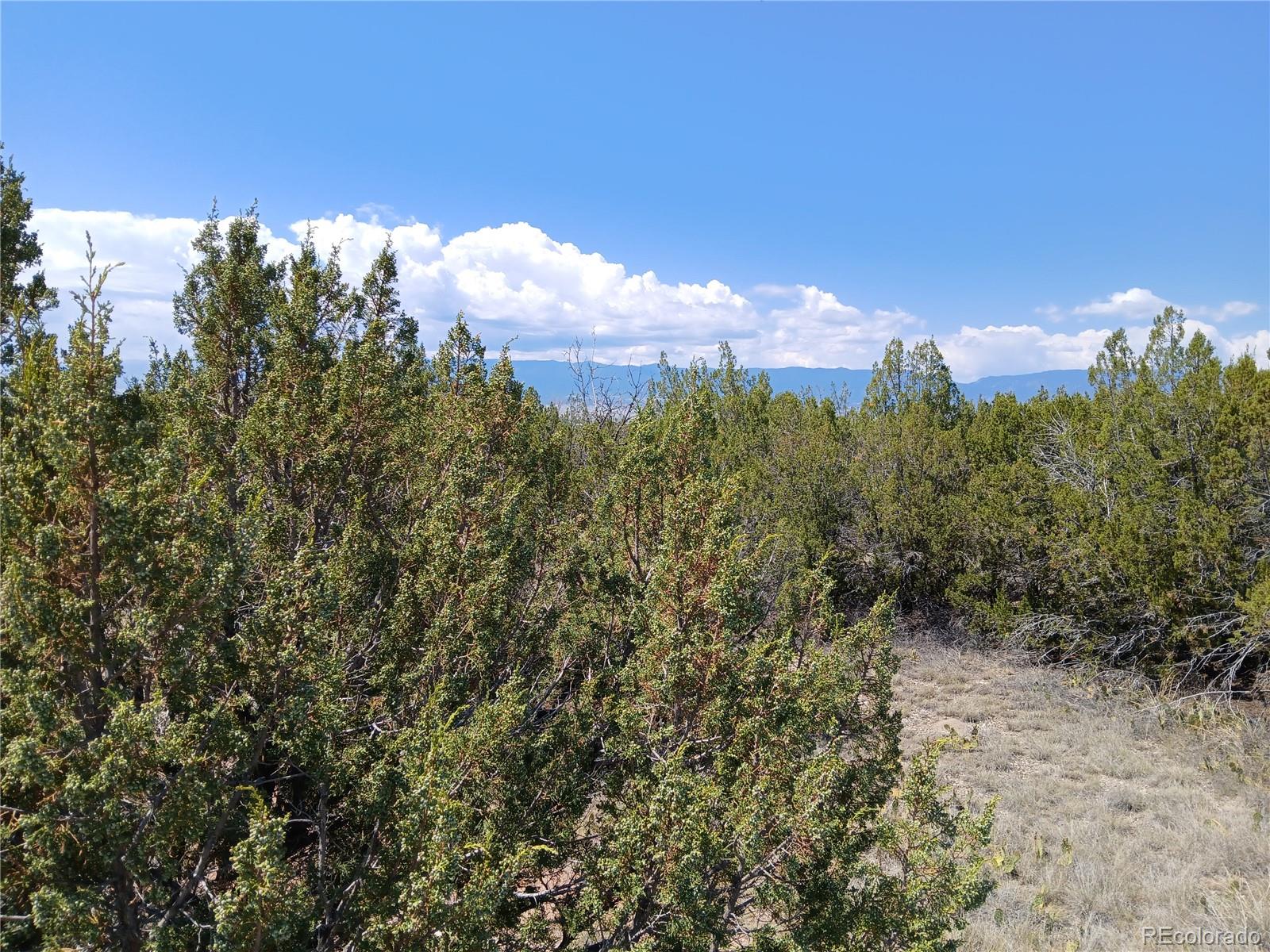 MLS Image #7 for 350  3rd ,penrose, Colorado