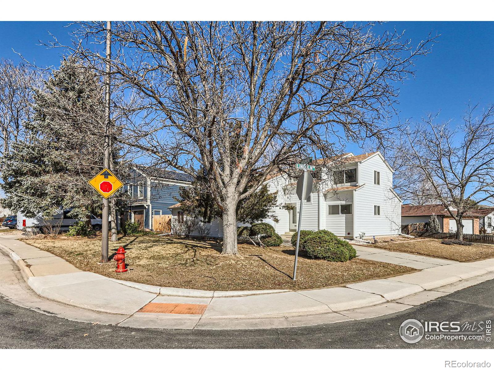 MLS Image #2 for 202  hoover avenue,louisville, Colorado