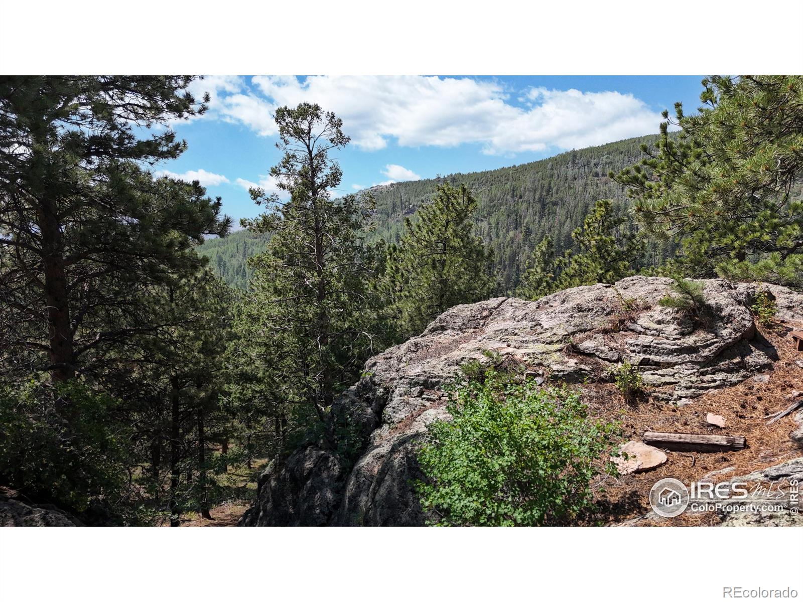 MLS Image #27 for 76  cairn court,drake, Colorado