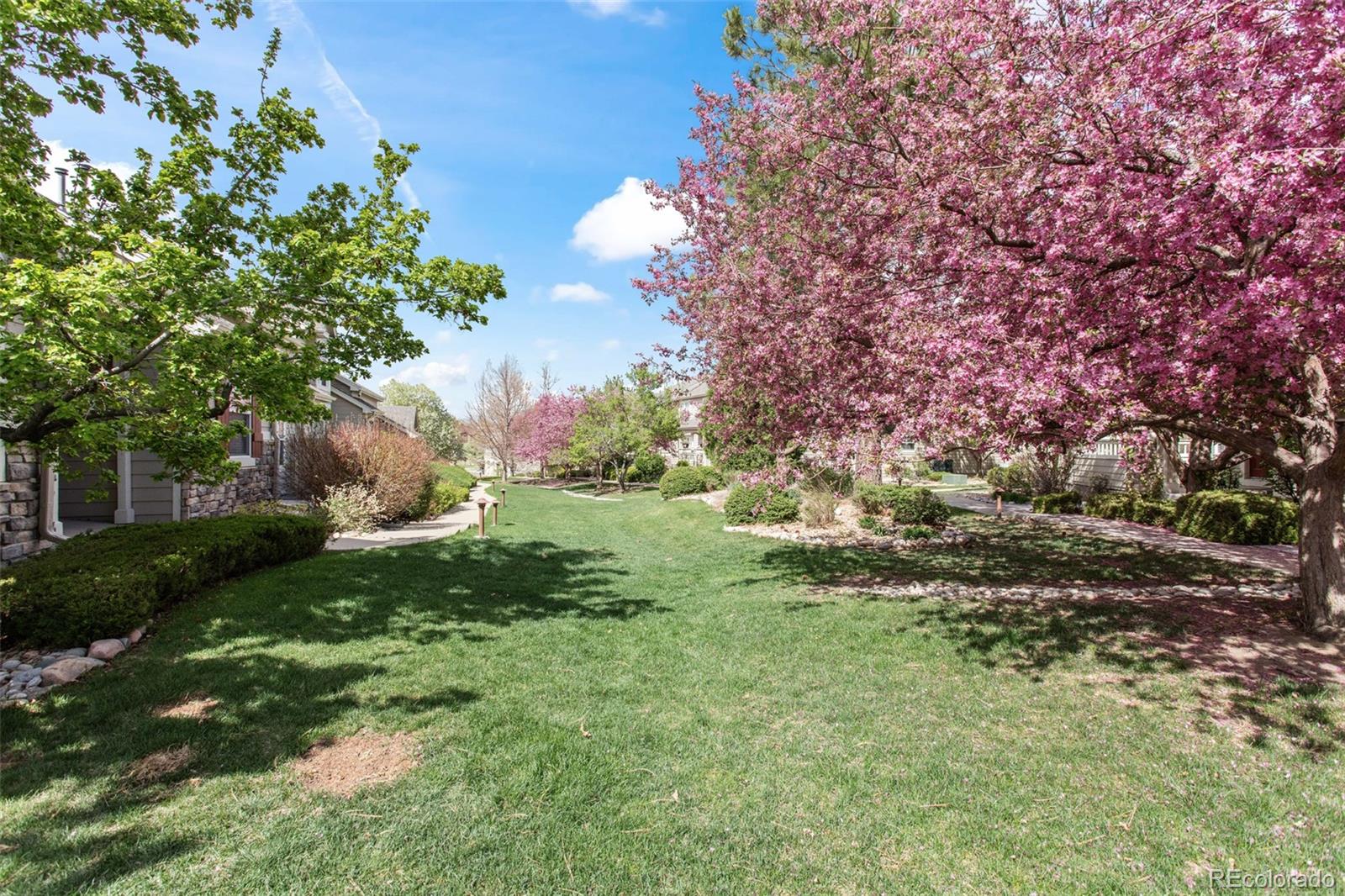 MLS Image #22 for 9521  silver spur lane,highlands ranch, Colorado