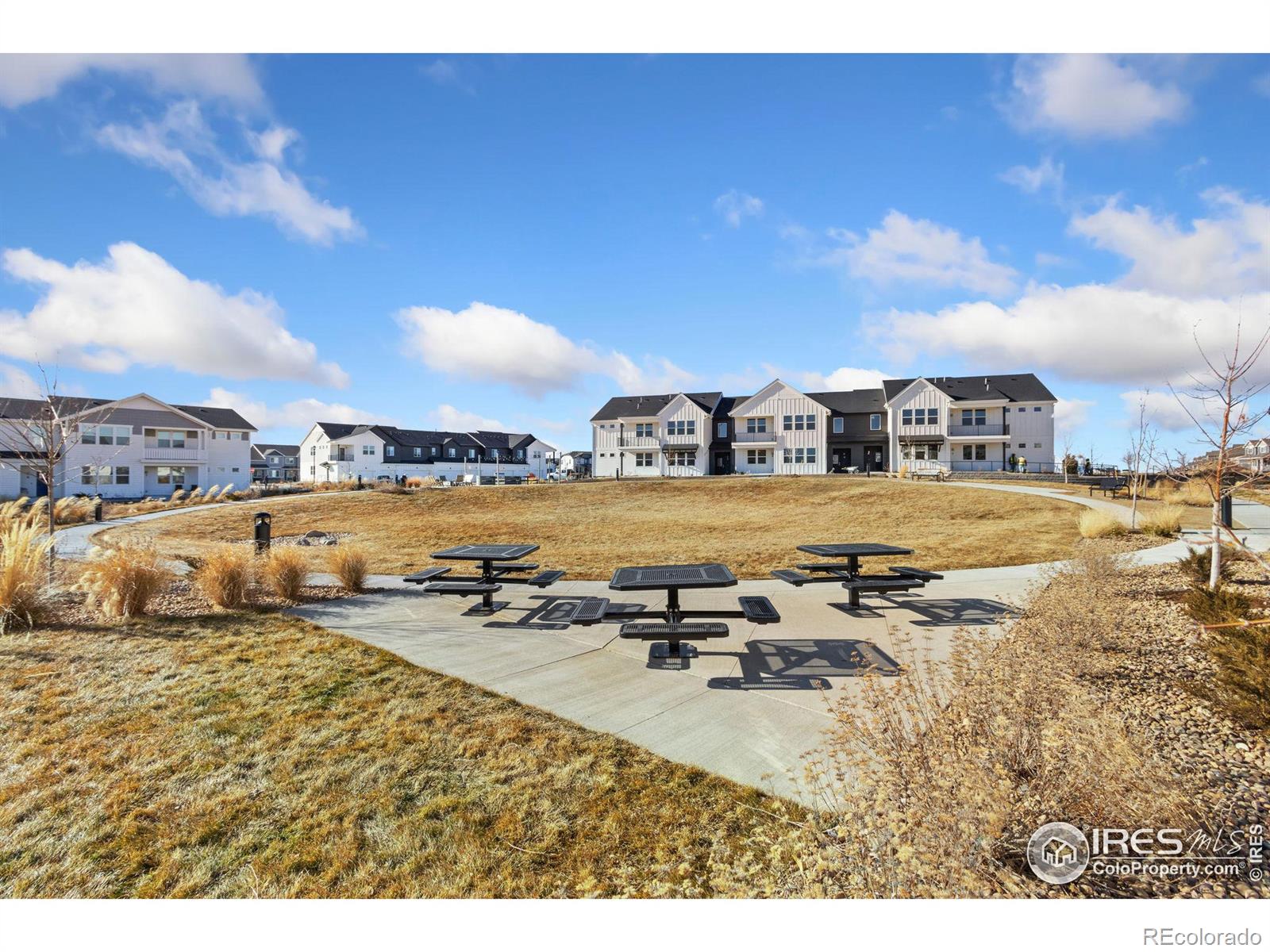 MLS Image #24 for 2110  setting sun drive,windsor, Colorado